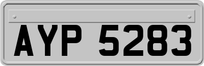 AYP5283