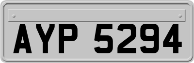 AYP5294