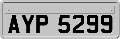 AYP5299