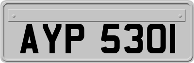 AYP5301