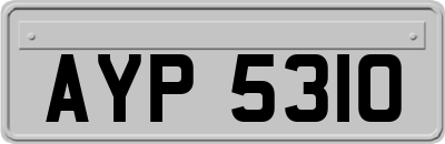 AYP5310