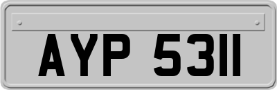 AYP5311