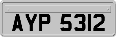 AYP5312