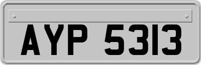 AYP5313
