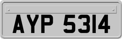 AYP5314