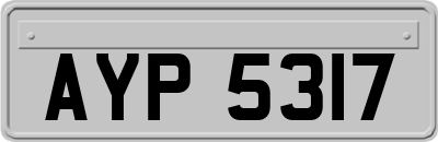 AYP5317