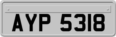 AYP5318