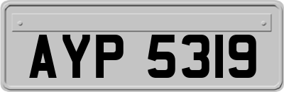 AYP5319