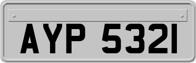 AYP5321