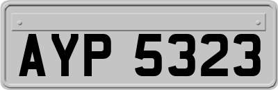 AYP5323