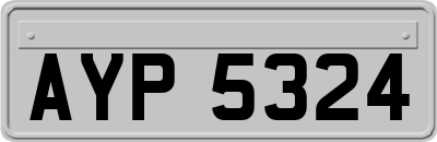 AYP5324