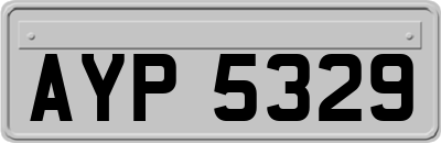 AYP5329
