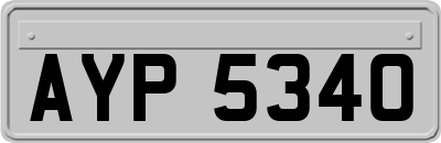 AYP5340