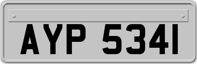 AYP5341