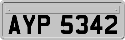 AYP5342