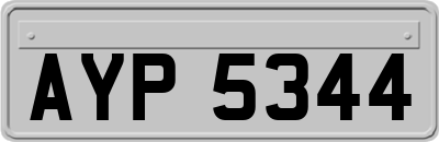 AYP5344