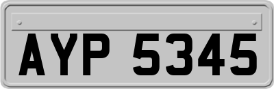 AYP5345