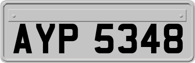 AYP5348