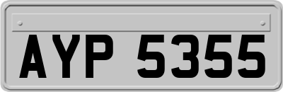 AYP5355