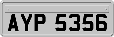 AYP5356