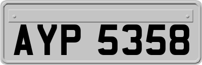 AYP5358