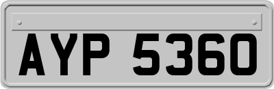 AYP5360
