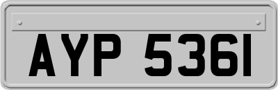 AYP5361
