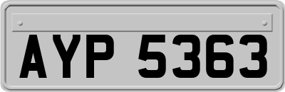 AYP5363