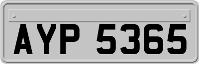 AYP5365