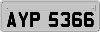 AYP5366
