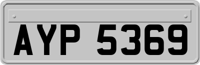 AYP5369