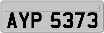 AYP5373