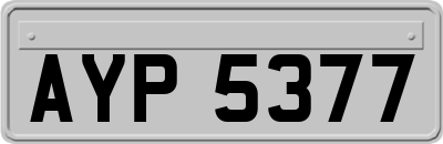 AYP5377