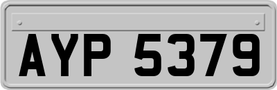 AYP5379