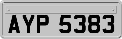 AYP5383