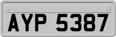 AYP5387