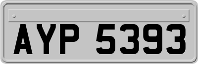 AYP5393