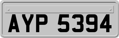 AYP5394