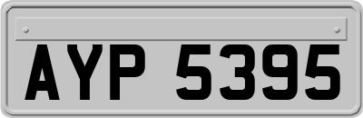 AYP5395