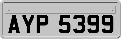 AYP5399