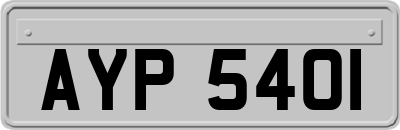 AYP5401