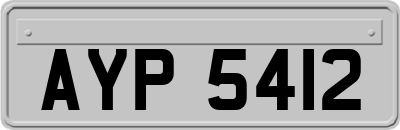 AYP5412