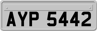 AYP5442