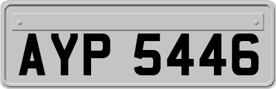 AYP5446