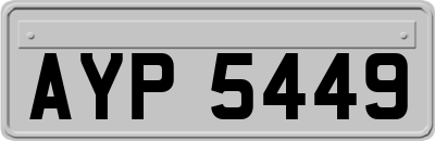 AYP5449