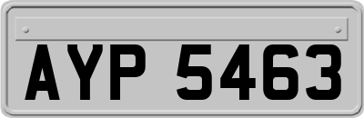 AYP5463