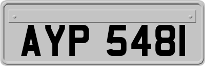 AYP5481