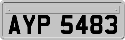 AYP5483