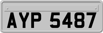 AYP5487