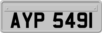 AYP5491
